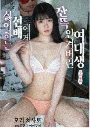 区域打卡路线更新资讯配图